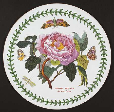 Botanic Garden Round Placemat with Cork Back