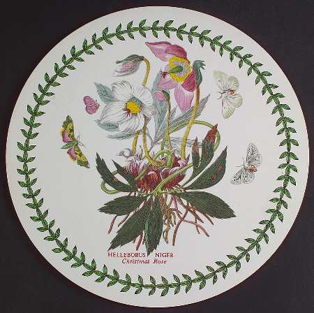 Botanic Garden Round Placemat with Cork Back