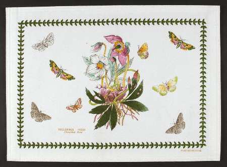 Botanic Garden Cloth Placemat