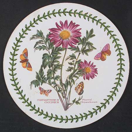 Botanic Garden Round Corkboard Placemat