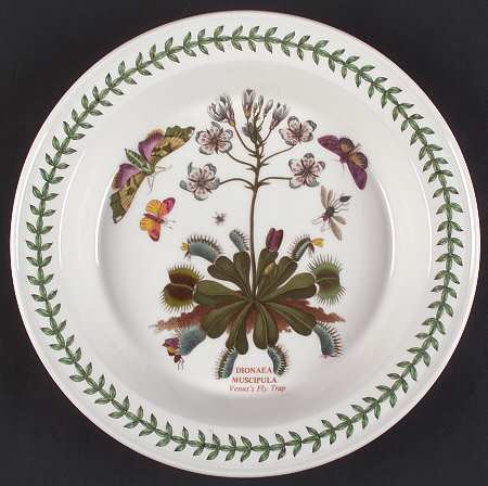Botanic Garden Round Oven-To-Table Pie Plate