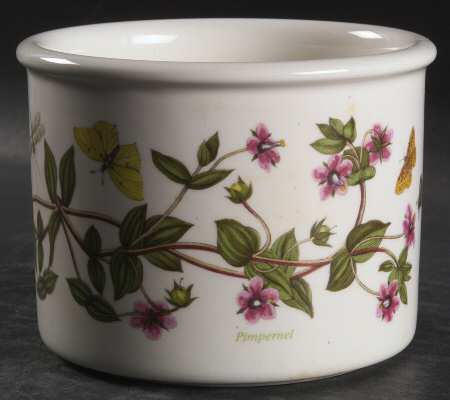 Botanic Garden 3 3/8" Planter Pot