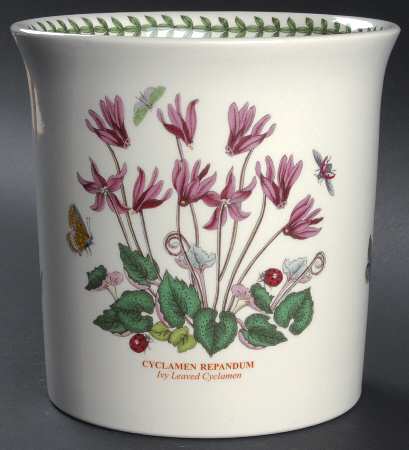 Botanic Garden Orchid Pot