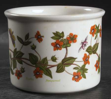 Botanic Garden 3 3/8" Planter Pot