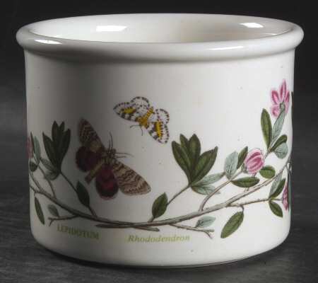 Botanic Garden 3 3/8" Planter Pot