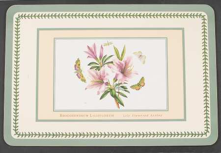 Botanic Garden 17" Large Corkboard Placemat W/Green Border