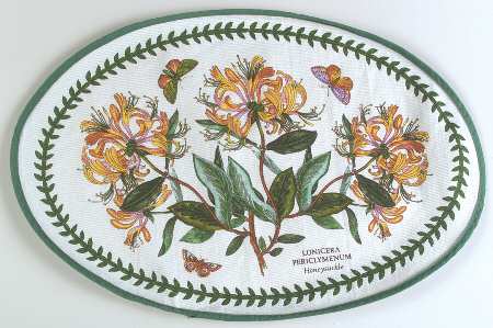 Botanic Garden Oval Cloth Placemat