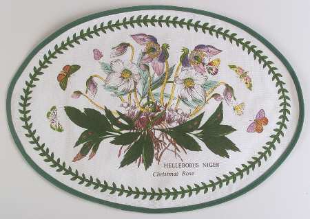 Botanic Garden Oval Cloth Placemat