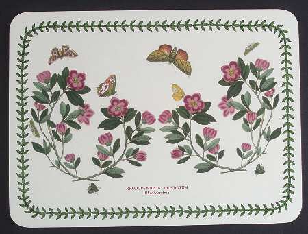 Botanic Garden Small Corkboard Placemat