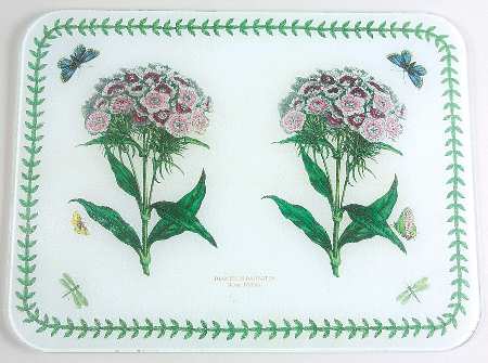 Botanic Garden Placemat-Corkboard