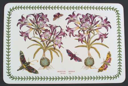 Botanic Garden 17" Large Corkboard Placemat