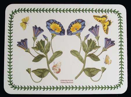 Botanic Garden Small Corkboard Placemat