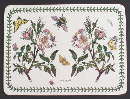 Botanic Garden Corkboard Placemat
