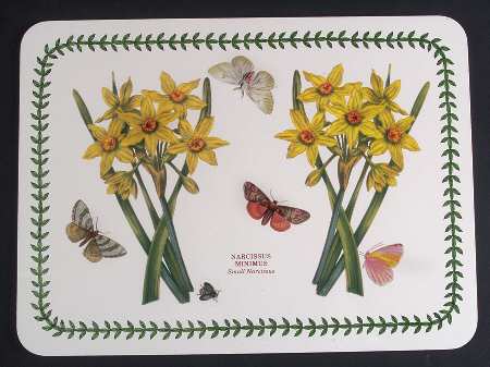 Botanic Garden Small Corkboard Placemat