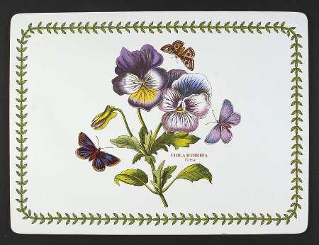 Botanic Garden Corkboard Placemat