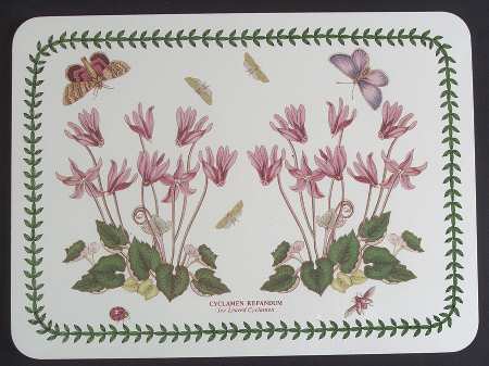 Botanic Garden Small Corkboard Placemat