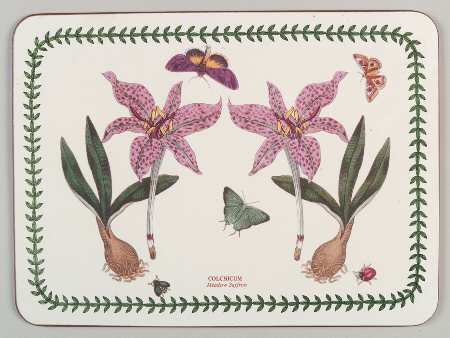 Botanic Garden Small Corkboard Placemat