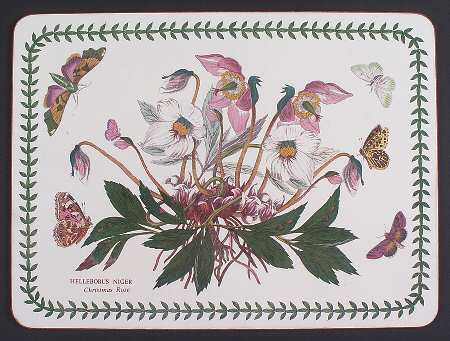 Botanic Garden Corkboard Placemat