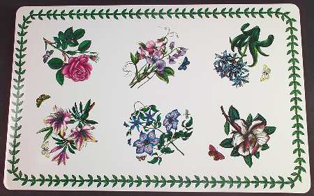Botanic Garden Corkboard Placemat - Set of 4