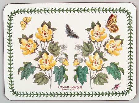 Botanic Garden Small Corkboard Placemat