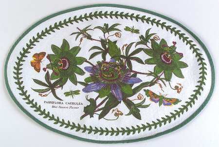 Botanic Garden Oval Cloth Placemat
