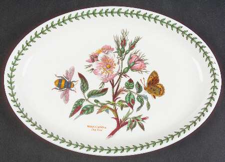 Botanic Garden 10" Oval Steak Platter
