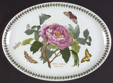 Botanic Garden 14" Oval Steak Platter by Portmeirion