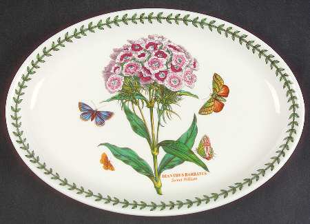 Botanic Garden 10" Oval Steak Platter