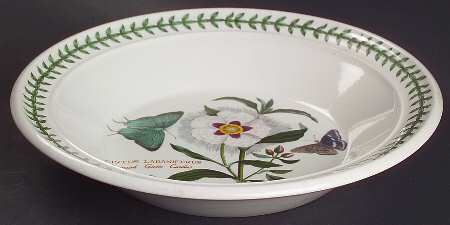 Botanic Garden Rim Soup Bowl