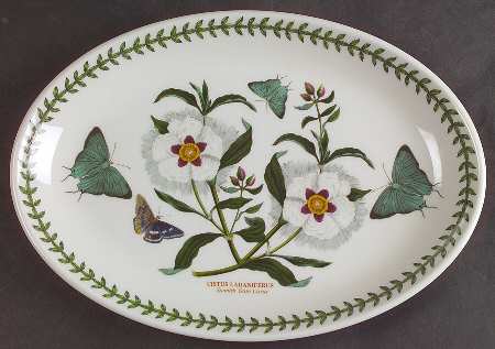 Botanic Garden 10" Oval Steak Platter