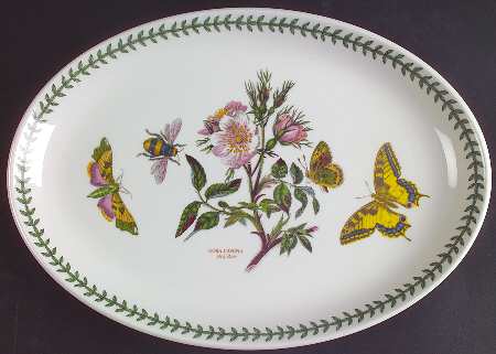 Botanic Garden 13" Oval Steak Platter
