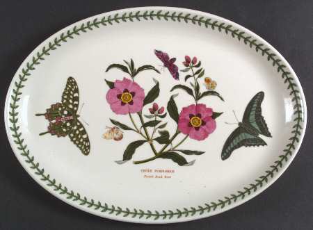 Botanic Garden 13" Oval Steak Platter by Portmeirion