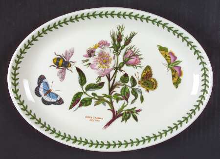 Botanic Garden 10" Oval Steak Platter