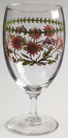 Botanic Garden 12 Oz Glassware Iced Tea