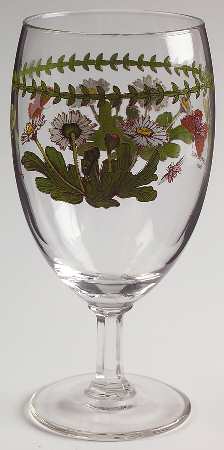 Botanic Garden 12 Oz Glassware Iced Tea