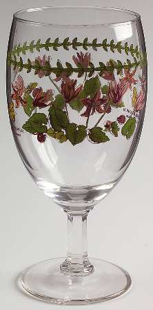 Botanic Garden 12 Oz Glassware Iced Tea