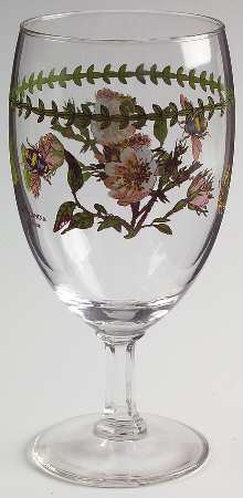 Botanic Garden 12 Oz Glassware Iced Tea