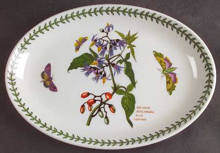 Botanic Garden 10" Oval Steak Platter