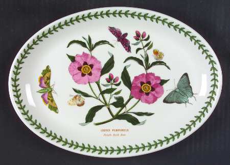 Botanic Garden 10" Oval Steak Platter