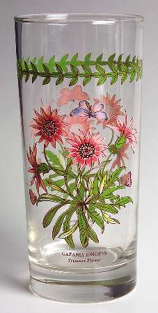 Botanic Garden 16 Oz Glassware Tumbler