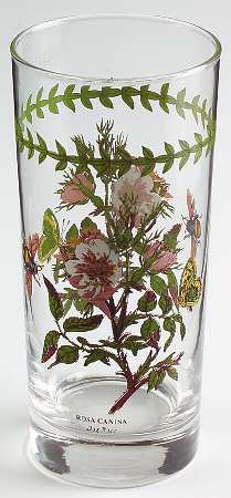 Botanic Garden 16 Oz Glassware Tumbler