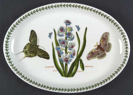 Botanic Garden 12" Oval Steak Platter by Portmeirion