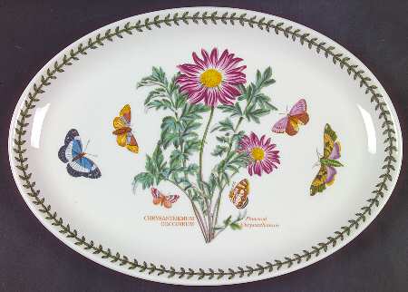Botanic Garden 13" Oval Steak Platter by Portmeirion