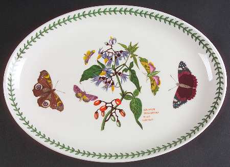 Botanic Garden 13" Oval Steak Platter by Portmeirion