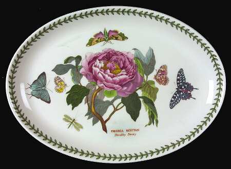 Botanic Garden 13" Oval Steak Platter