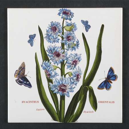 Botanic Garden 6" Wall Tile Aka Tile Insert