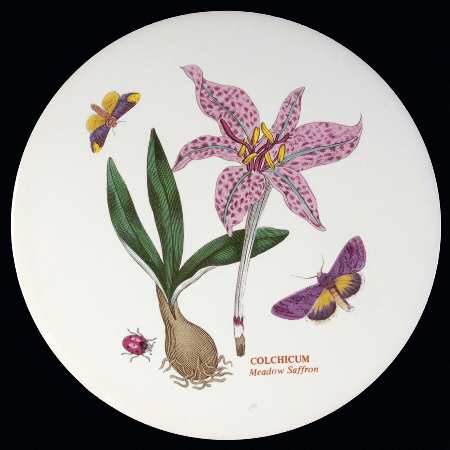 Botanic Garden 6" Round Trivet