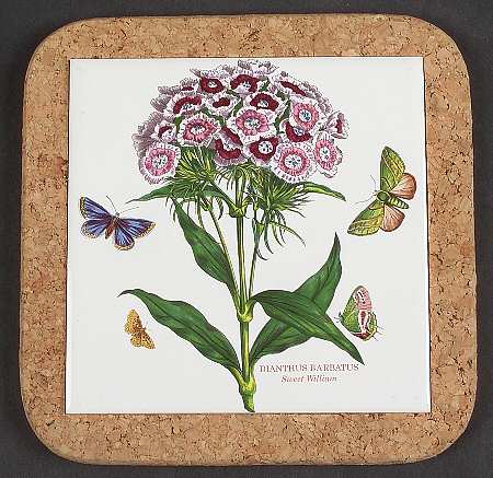 Botanic Garden 7" Square Cork Back Trivet