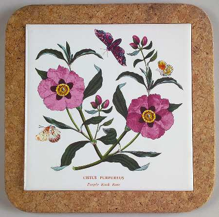 Botanic Garden 7" Square Cork Back Trivet