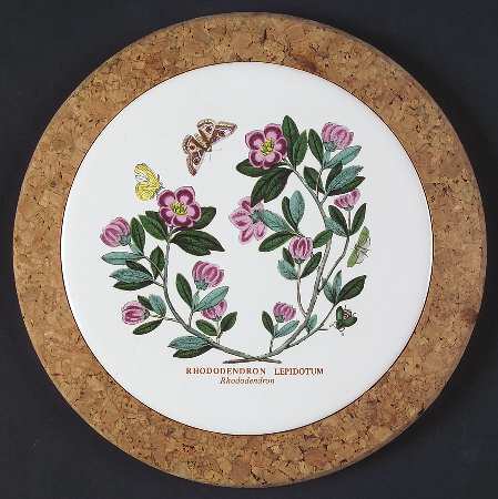 Botanic Garden 7" Round Cork Front & Back Trivet